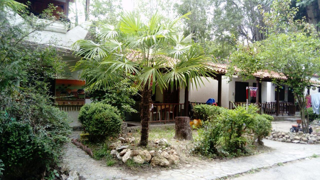 Hotel Camping Elizabeth Kalyvia Varikou Exteriér fotografie